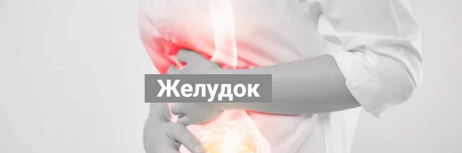 [Никита Истомин] Желудок (2024)_0.png